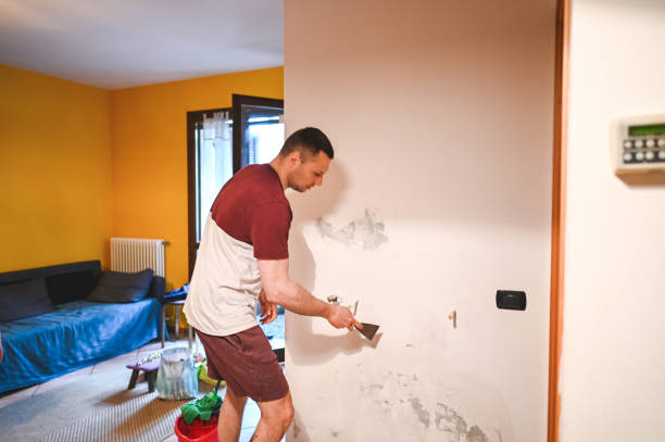 Best Mold Damage Repair  in Mililani Mauka, HI